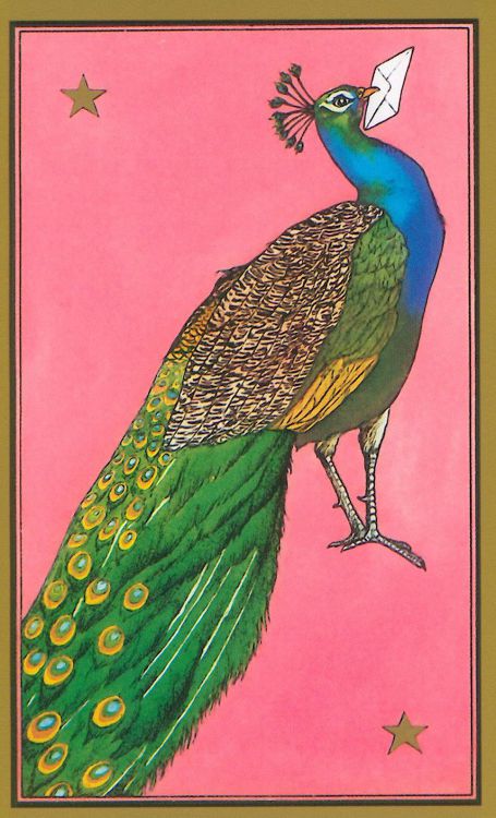 The Peacock, the 3 swallows, the owls